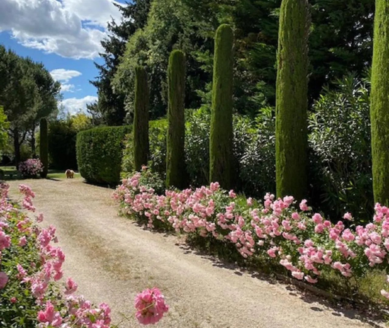 Hébergement de vacances Mas la Pauline Gîtes de charme&roulotte Saint-Rémy-de-Provence France